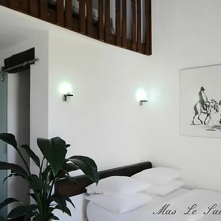 Hotel Mas Le Sauvageon Saintes-Maries-de-la-Mer