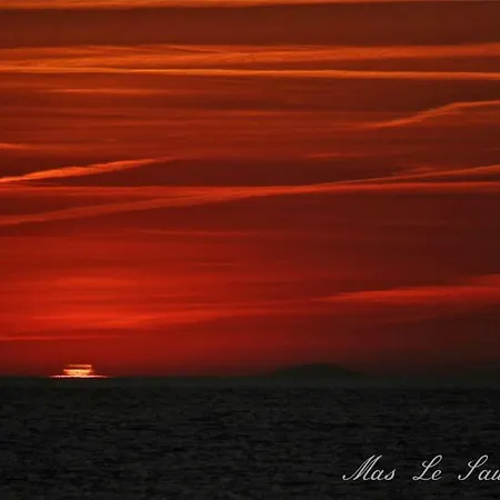 Mas Le Sauvageon * Saintes-Maries-de-la-Mer