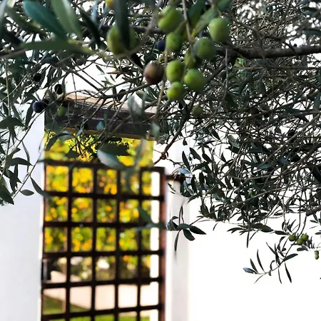 Hotel Mas Le Sauvageon